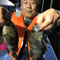 ヤザワ渡船 釣果