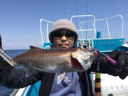 阿波哲 釣果