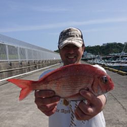 だて丸 釣果