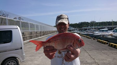 だて丸 釣果