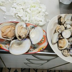 みやけ丸 釣果