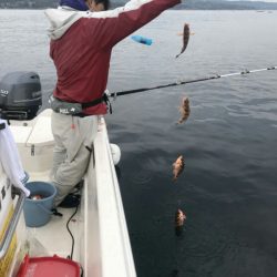 海坊主Ｖ 釣果