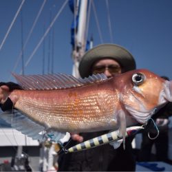 渡船屋たにぐち 釣果