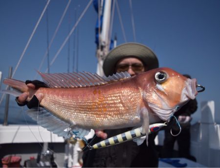 渡船屋たにぐち 釣果