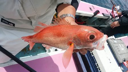 ぽん助丸 釣果