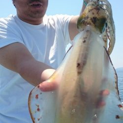 シースナイパー海龍 釣果