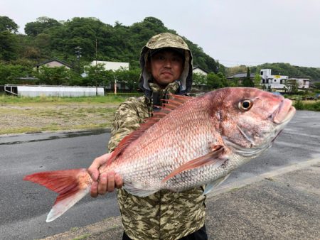 WING 釣果