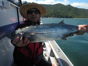 美咲丸 釣果