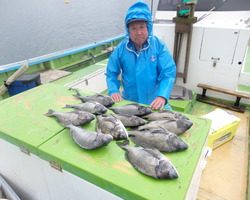 久里浜黒川本家 釣果