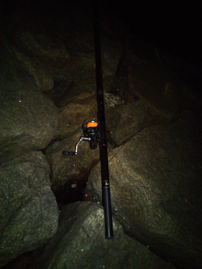 今年初の夜釣り