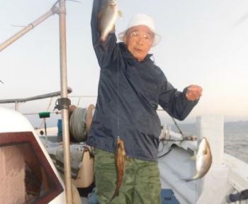 土佐安芸のハマちゃんの釣果