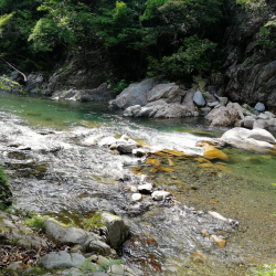 渓流釣り