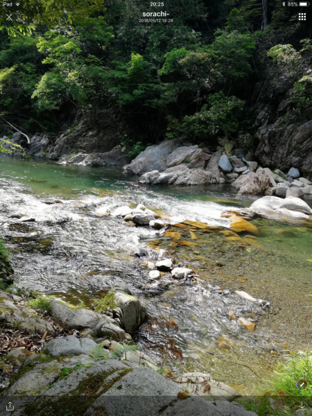 渓流釣り