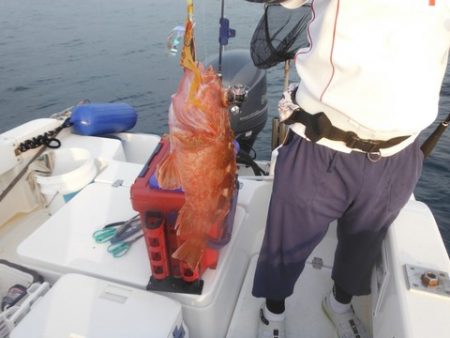 開進丸 釣果