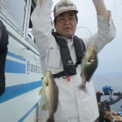 土佐安芸のハマちゃんの釣果