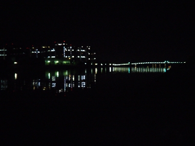 今年初の夜釣り