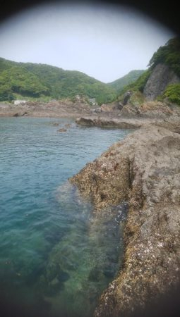 グレ釣り　キス釣り　メバリンク　エギング