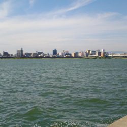 お昼過ぎに淀川へ行って来ました。