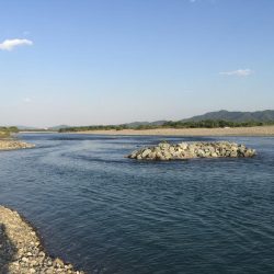 吉野川のルアー釣り！