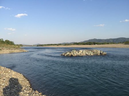 吉野川のルアー釣り！