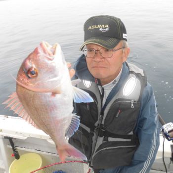 土佐安芸のハマちゃんの釣果