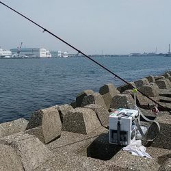 東二見人工島でキスが釣れ始めました