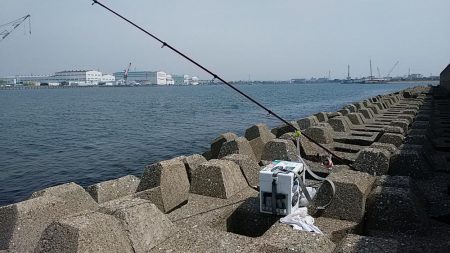 東二見人工島でキスが釣れ始めました