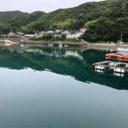 豆アジ、いわし、ガシラ釣り