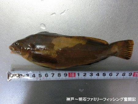 小物爆釣で満足の一日