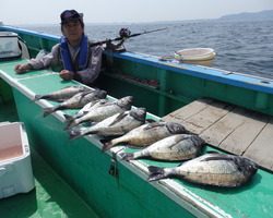 久里浜黒川本家 釣果