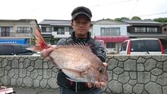 まこと渡船 釣果