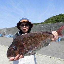 大進丸（新潟） 釣果