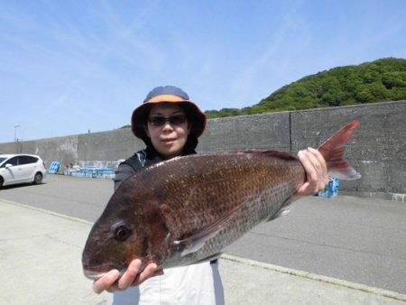 大進丸（新潟） 釣果