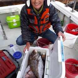 釣り船くわだ 釣果