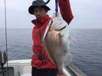 鯛紅丸 釣果