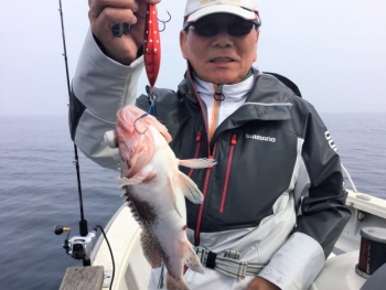 鯛紅丸 釣果