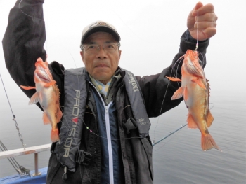 鯛紅丸 釣果