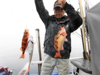 鯛紅丸 釣果