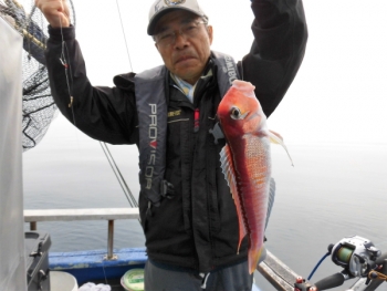 鯛紅丸 釣果