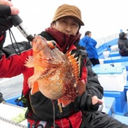 鯛紅丸 釣果