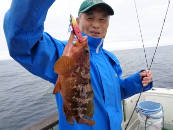 鯛紅丸 釣果