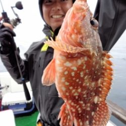 鯛紅丸 釣果