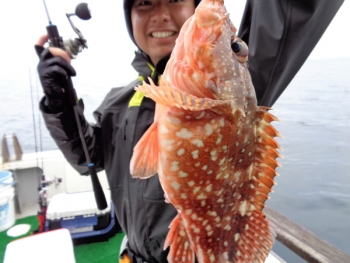 鯛紅丸 釣果