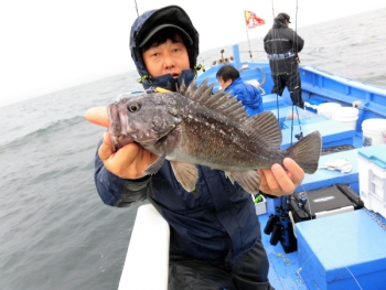 鯛紅丸 釣果