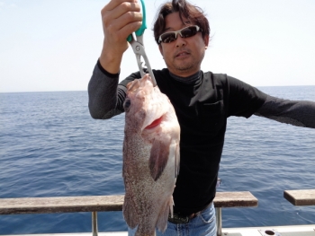 鯛紅丸 釣果