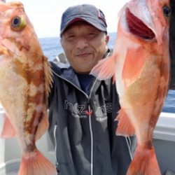 鯛紅丸 釣果