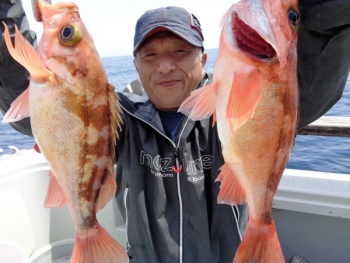 鯛紅丸 釣果