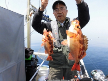 鯛紅丸 釣果