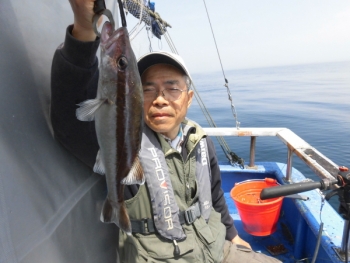 鯛紅丸 釣果