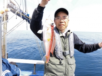 鯛紅丸 釣果